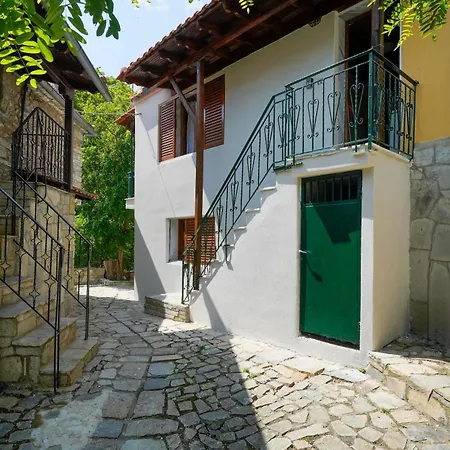 Apartment Plane Tree