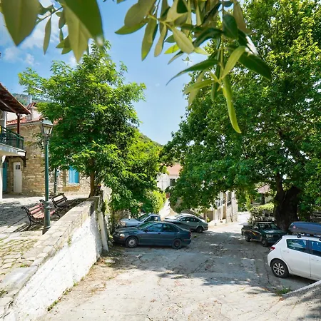 Apartamento Plane Tree