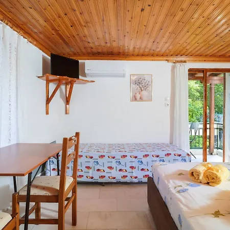 Plane Tree * Mariaí