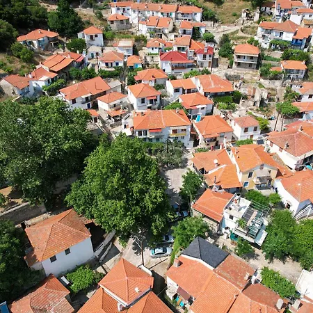 Plane Tree Apartmán Maries (Thasos)