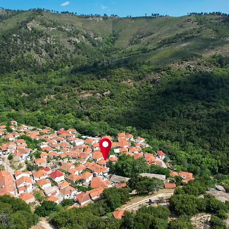 Plane Tree Apartamento *