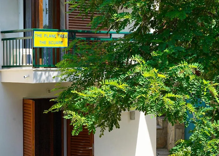 Plane Tree Maries (Thasos)