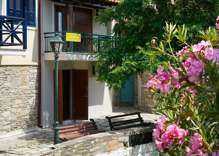 Apartmán Plane Tree